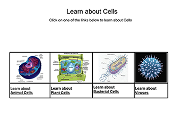 Learn About Cells